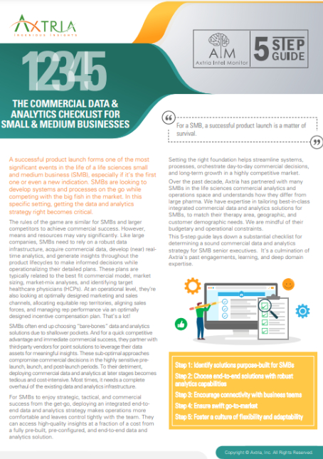 Download Guide Data & Analytics Checklist For Small & Medium Businesses