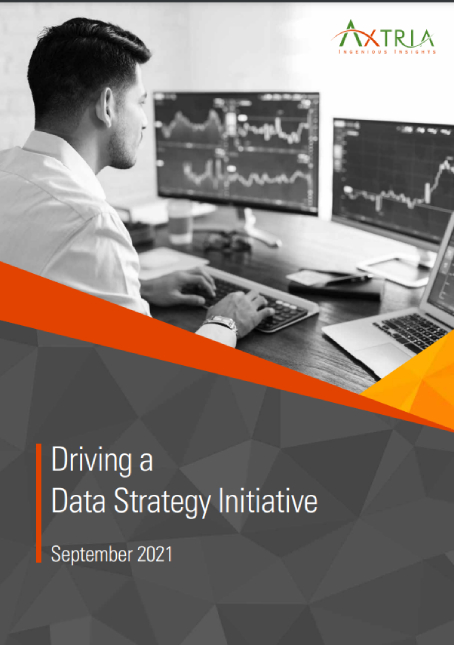 Download White Paper Data Strategy Initiative