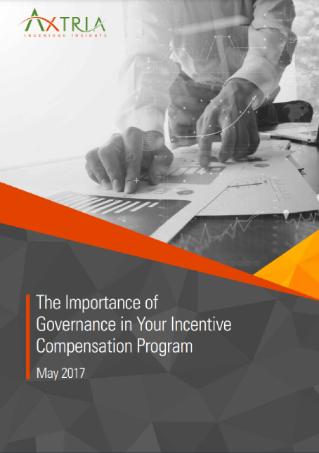 Download White Paper The Importance Of Governance In Your Incentive Compensation Program