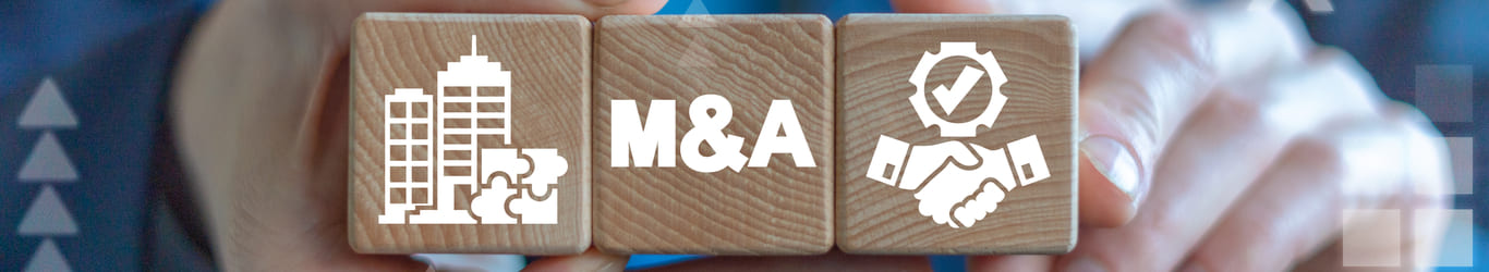 Do Pharma Mergers and Acquisitions Improve R&D Productivity and Increase Shareholder Value?