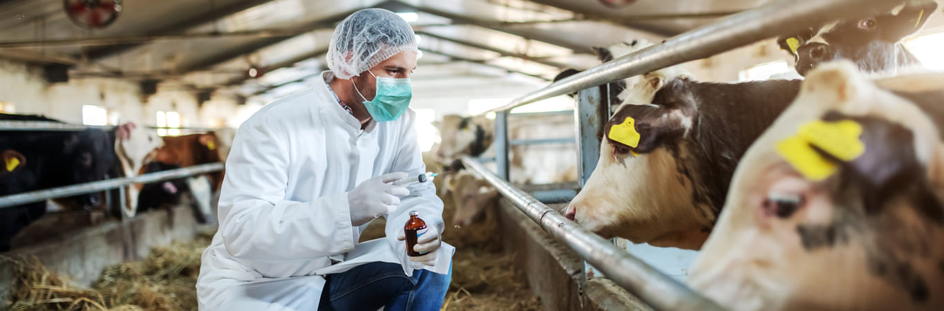 Animal Health - Commercial Operations Trends And Challenges